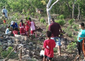Teriak Saja Nangka Tanah Merah