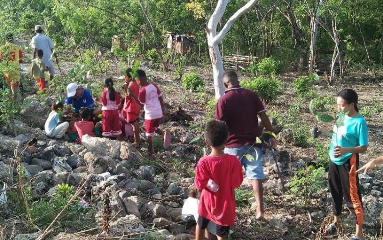 Teriak Saja Nangka Tanah Merah